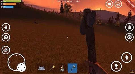 g (lin)C(Oxide-survival Island)؈D