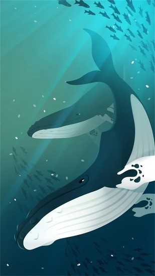 ˮ^ (ni)ُ(gu)ΑAPP؈D