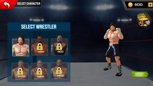 ˤӴ(zhn)܊ِWrestling Rumble Fight Championshipd؈D