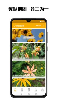 D{app؈D