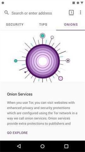 [torTor Browser֙C(j)M(fi)؈D