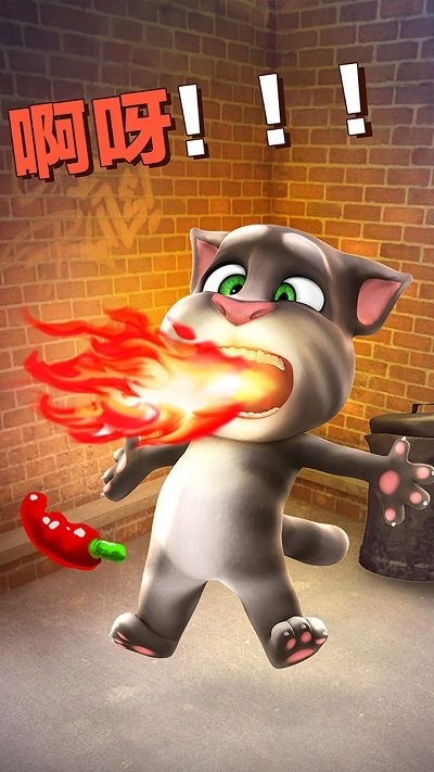 fԒĜķ؈Talking Tom CatΑd؈D